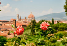 Florence: What to See After the “Must-Sees”